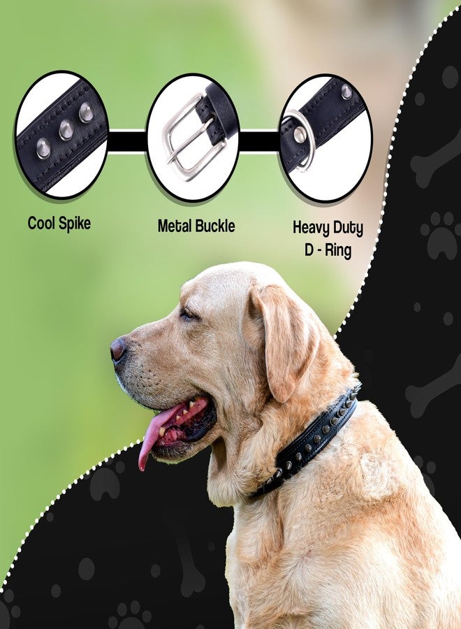 ADIL'S Adil’S Leather Spike Dog Collar for Small, Medium & Large Dogs with Strong Metal D-Ring, Adjustable Collar fits All Neck Size M, 1” Width, Black - Image 5